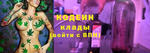 молекула духа Козловка