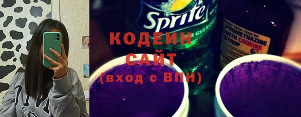 молекула духа Козловка