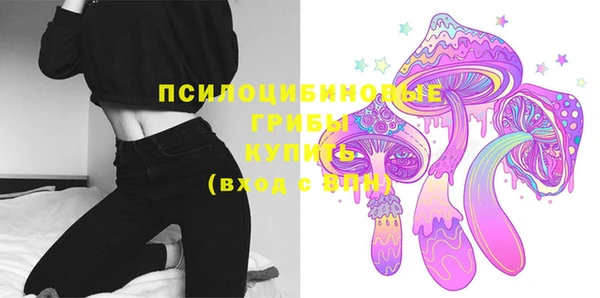 молекула духа Козловка