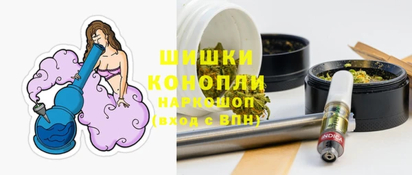 молекула духа Козловка