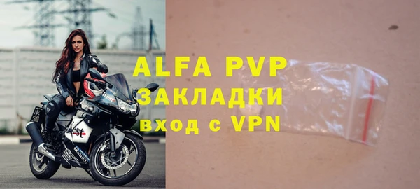 молекула духа Козловка