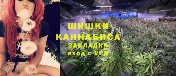 прущие крисы Кодинск