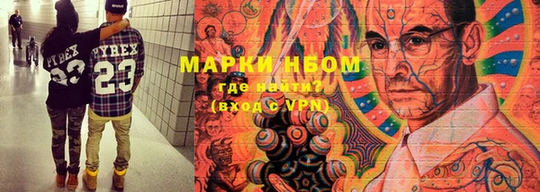 молекула духа Козловка