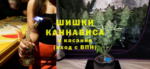 молекула духа Козловка