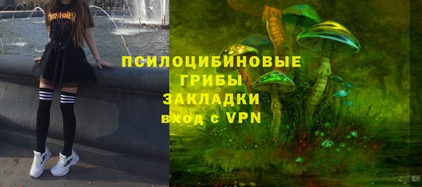 молекула духа Козловка